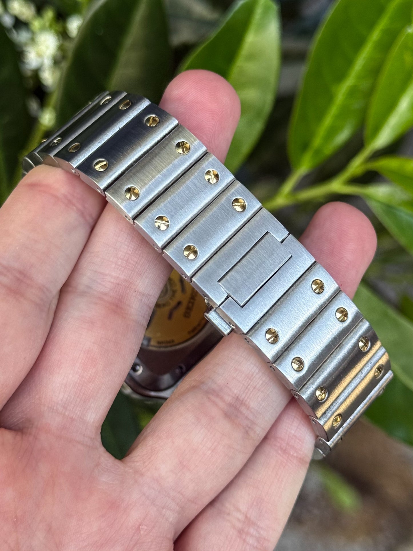 "Two Tone" Santos Mod