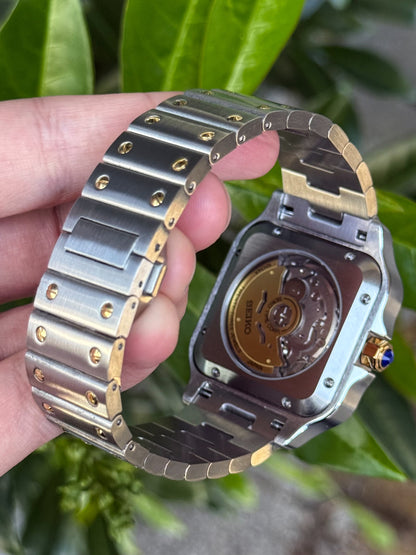 "Two Tone" Santos Mod